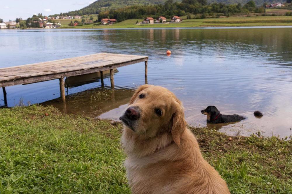 הוילה אוגולין Kuca Za Odmor Jezero מראה חיצוני תמונה